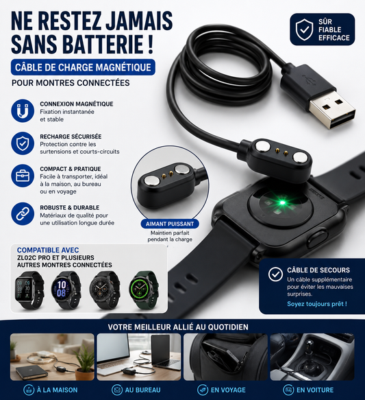 Chargeur ZL02C PRO